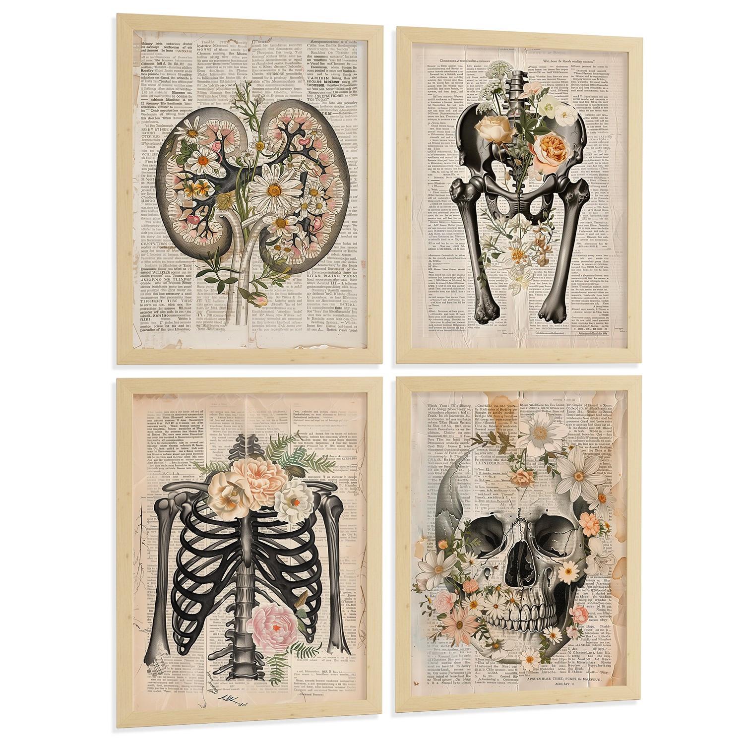 POSTER Set aus 4 Anatomie Drucke und mit Nieren Becken Knochen Hüfte Rippen Wirbelsäule Schädel Antiker Buch Stil Größe Leichter Holzrahmen A4 - Beige, Papier (21/29.7/3cm) - Nacnic