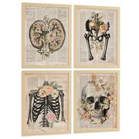 POSTER Set aus 4 Anatomie Drucke und mit Nieren Becken Knochen Hüfte Rippen Wirbelsäule Schädel Antiker Buch Stil Größe Leichter Holzrahmen A4 - Beige, Papier (21/29.7/3cm) - Nacnic