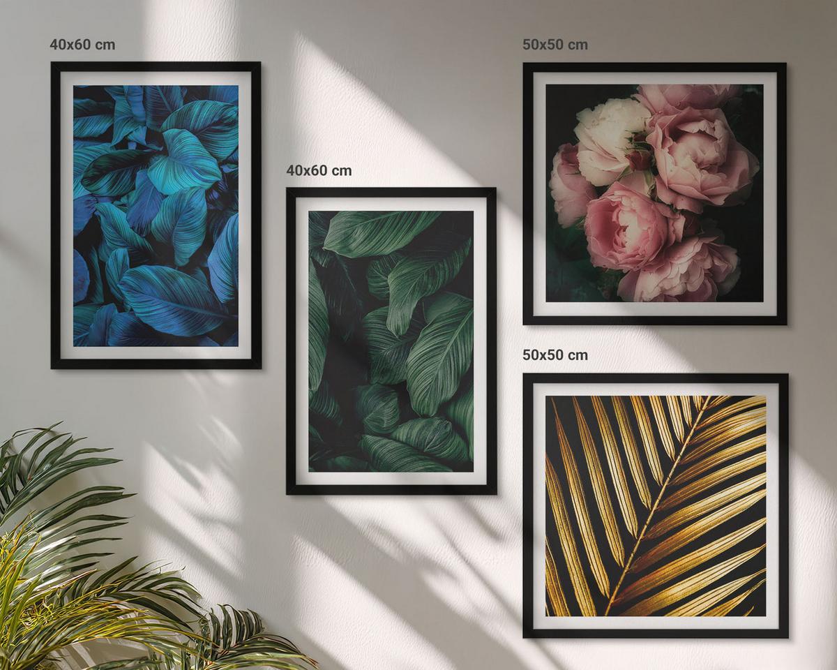 BILDER SET 4er Set - 50x50 cm & 40x60 cm Schwarzer Rahmen - Blätter und Blüten in verschiedenen Farben - Schwarz, Kunststoff (50/50cm) - TULUP