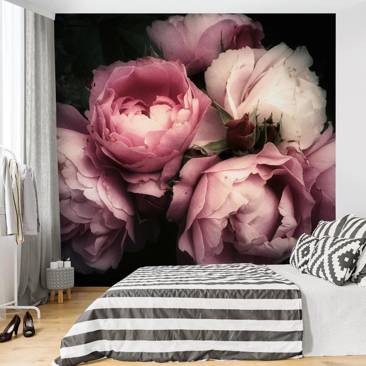 FOTOTAPETE Pfingstrosen vor Schwarz Shabby 192/192 cm - Rosa, Papier (192/192cm) - Bilderwelten