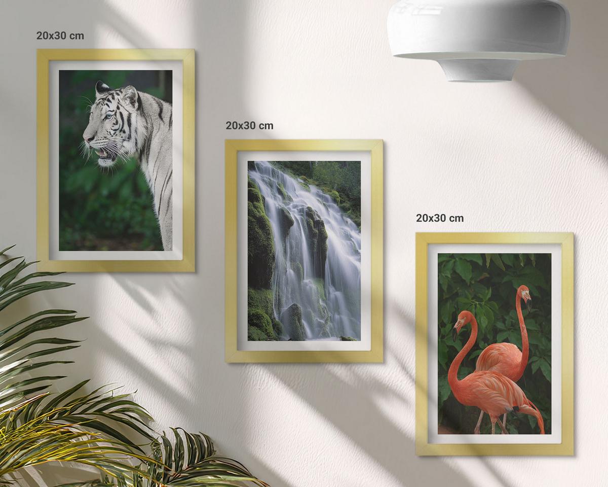 BILDER SET 3er Set - 20x30 cm Goldrahmen - Tiger Wasserfall Flamingos Natur - Goldfarben, Kunststoff (20/30cm) - TULUP