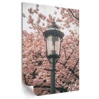 POSTER - 29x42 cm - View - Frühlingslaterne - Pink, Textil (29/42/0.1cm) - TULUP