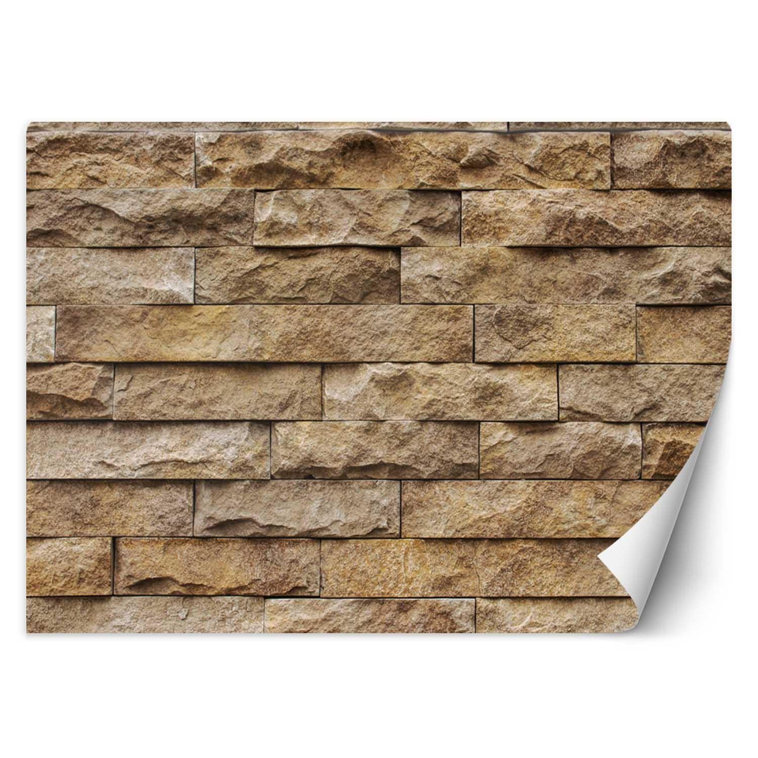VLIESTAPETE Braun 250/175 cm - Braun, Textil (250/175cm) - KUNSTLOFT