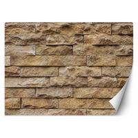 VLIESTAPETE Braun 450/315 cm - Braun, Textil (450/315cm) - KUNSTLOFT