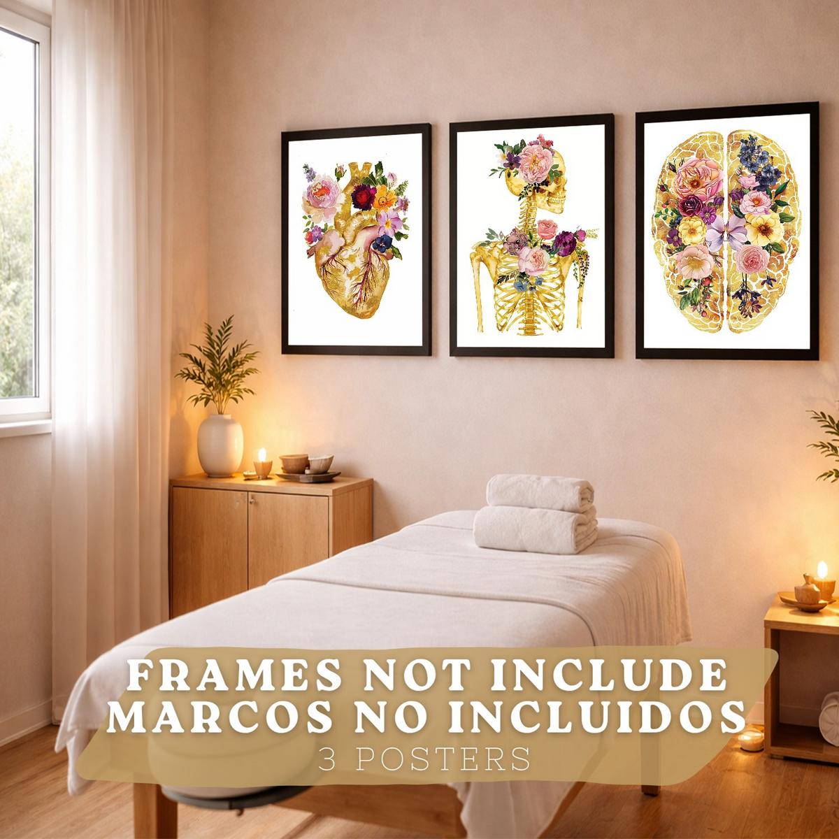 POSTER Set aus 3 Anatomie Mensch Drucke und Wandbilder mit Herz Gehirn und Skelett Goldenes Florales Design Wanddekoration Größe Rahmenlos A3 - Klar, Papier (29.7/42/3cm) - Nacnic