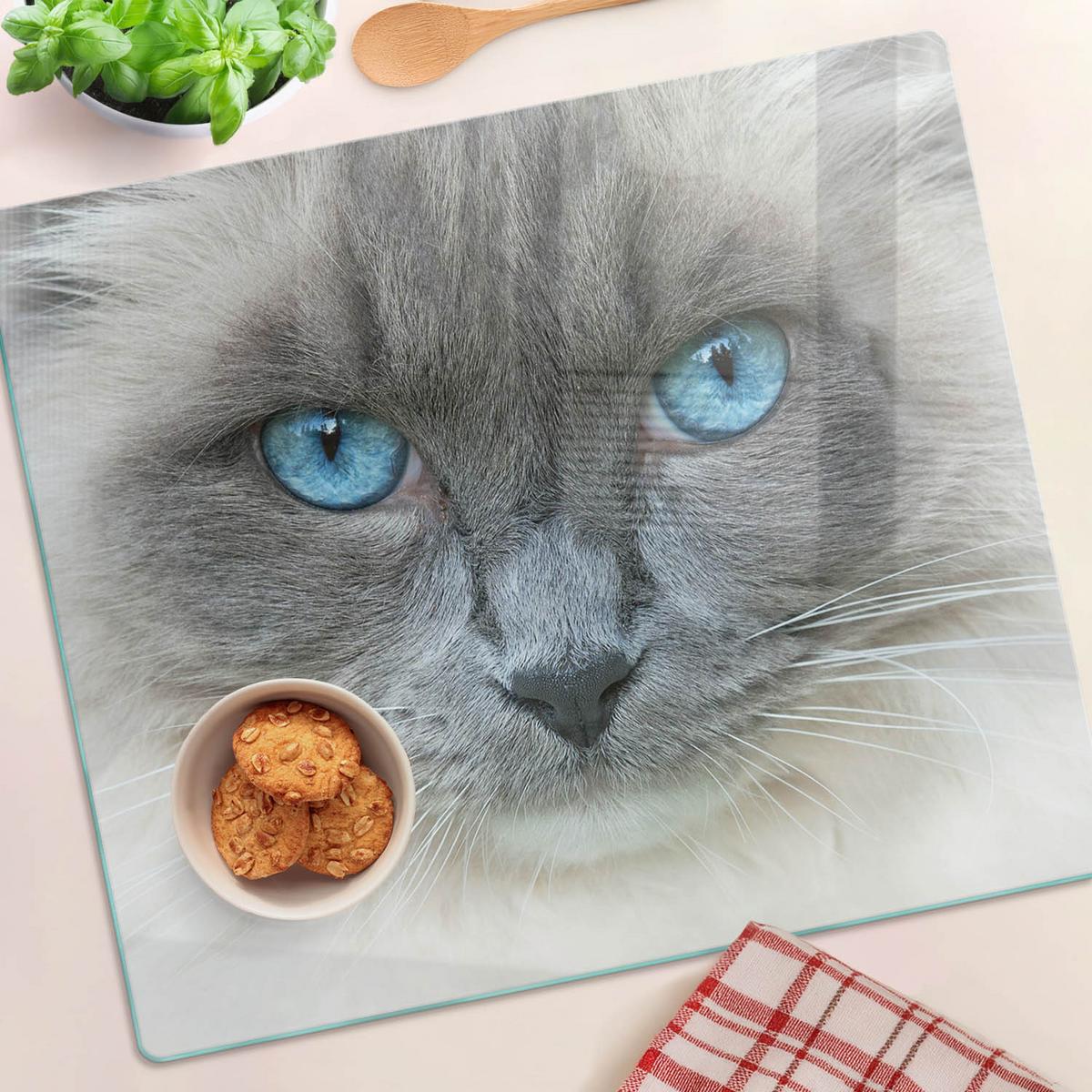 GLASPLATTE 60x52 cm Katze mit blauen Augen - Blau, Glas (60/0.4/52cm) - TULUP