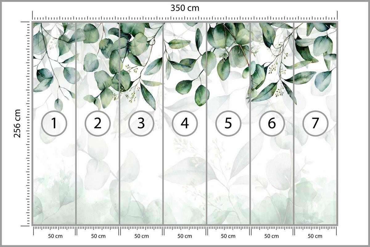 FOTOTAPETE Eukalyptus Blätter Pflanzen Natur 350x256 - Weiß/Grün, Papier (350/256cm) - Muralo