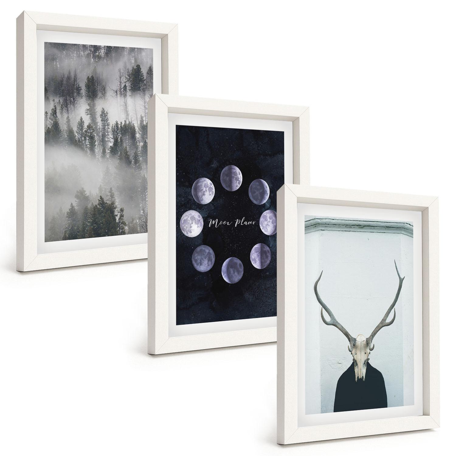 BILDER SET 3er Set - 20x30 cm Weißer Rahmen - Waldlandschaft, Nebel, Mond, Hirschschädel - Weiß, Kunststoff (20/30cm) - TULUP