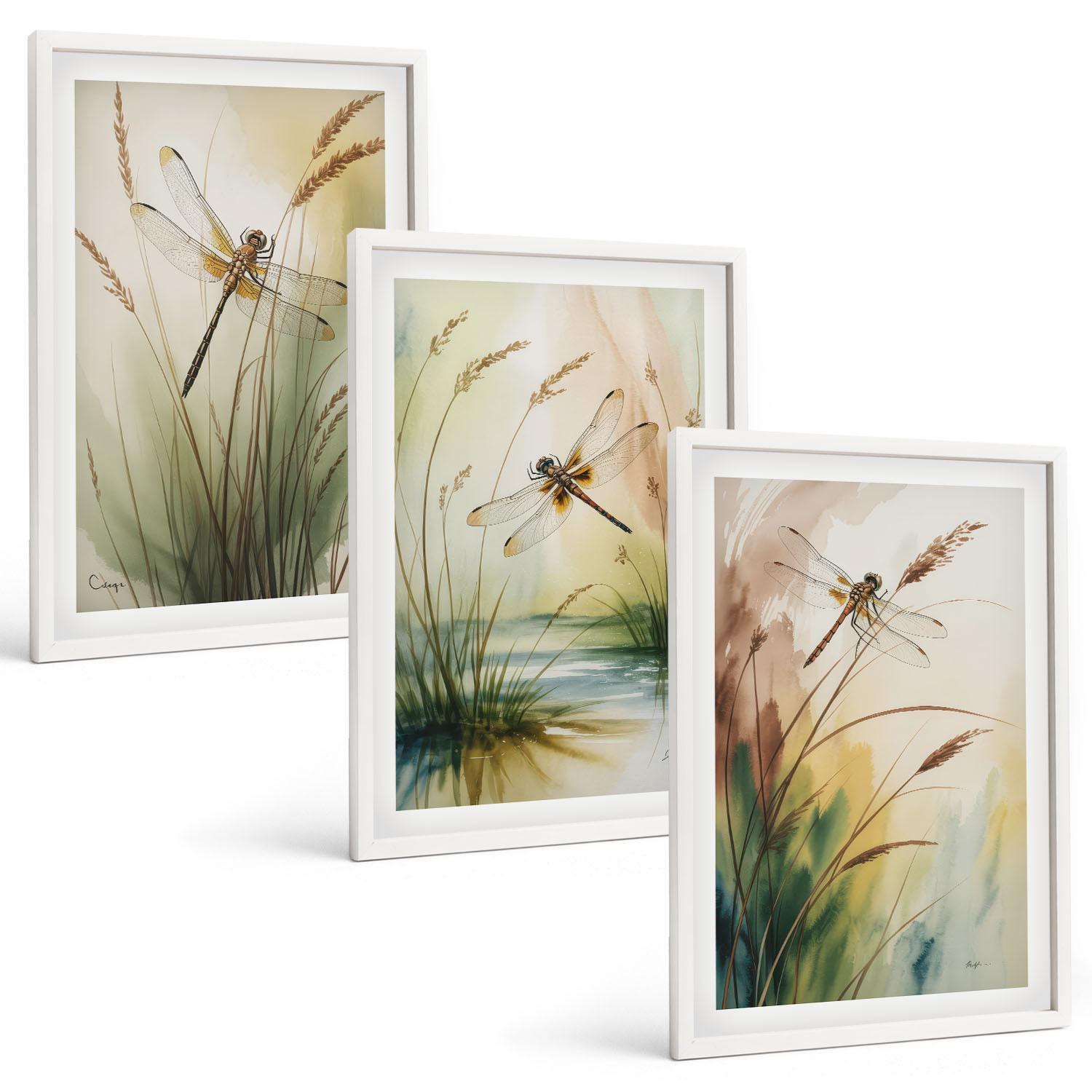 BILDER SET 3er Set - 40x60 cm Weißer Rahmen - Libellen im Gras, Wassermalerei - Weiß, Kunststoff (40/60cm) - TULUP