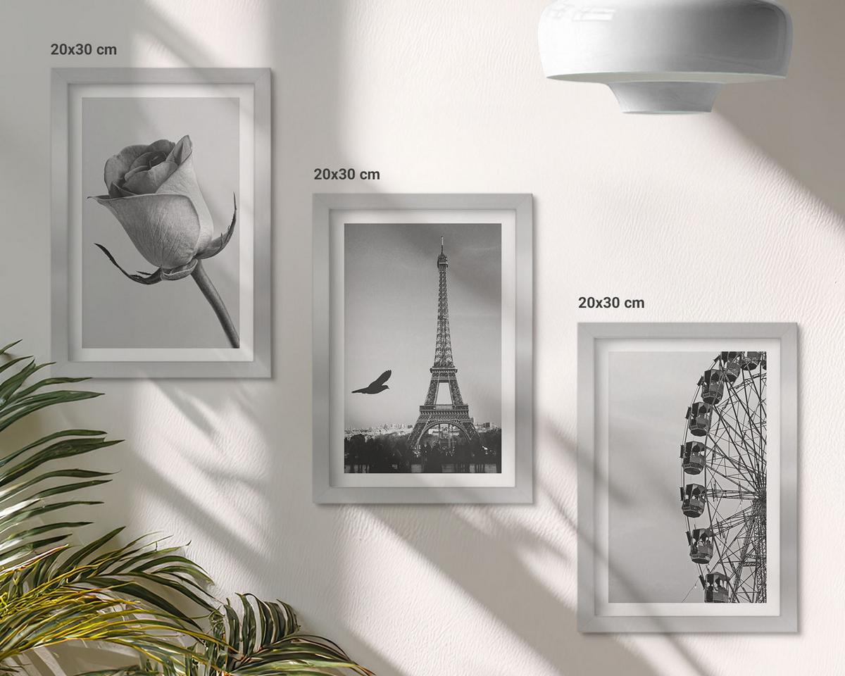 BILDER SET 3er Set - 20x30 cm Silberner Rahmen - Rose Eiffelturm Riesenrad - Silberfarben, Kunststoff (20/30cm) - TULUP