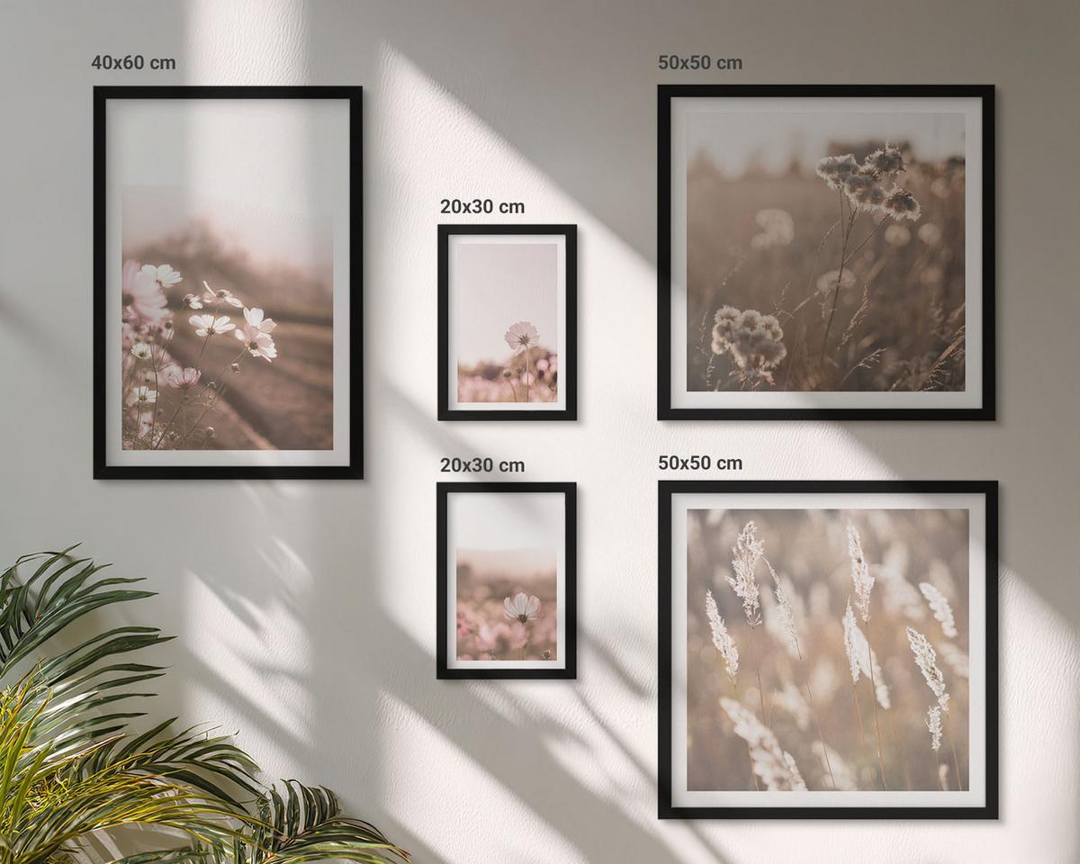 BILDER SET 5er Set - 50x50 cm & 20x30 cm & 40x60 cm Schwarzer Rahmen - Wildblumen auf den Wiesen im Sommer - Schwarz, Kunststoff (40/60cm) - TULUP