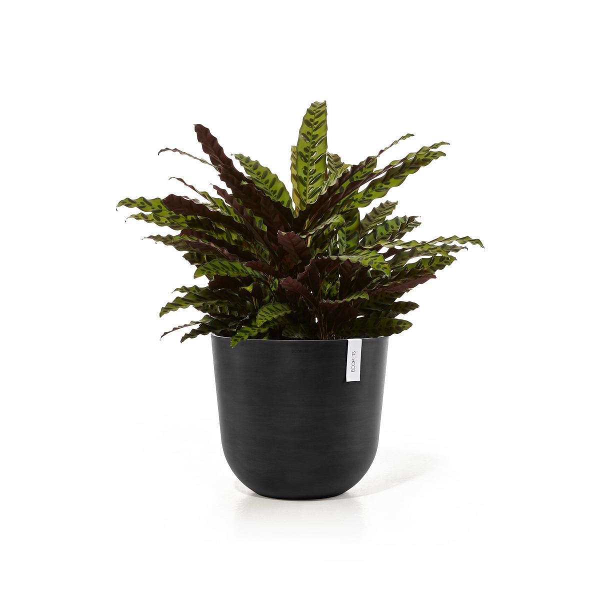 BLUMENTOPF mit Wasserreservoir Oslo 45/39,4 cm Dunkelgrau - Dunkelgrau, Kunststoff (45/39.4cm) - Ecopots