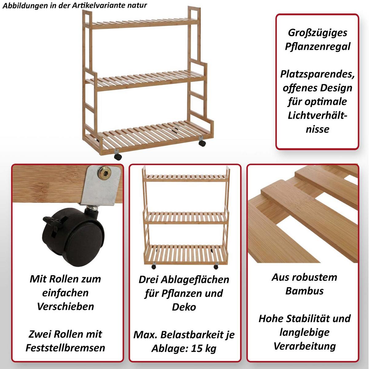 PFLANZENREGAL Braun - Braun, Holz (90/105/38cm) - MCW