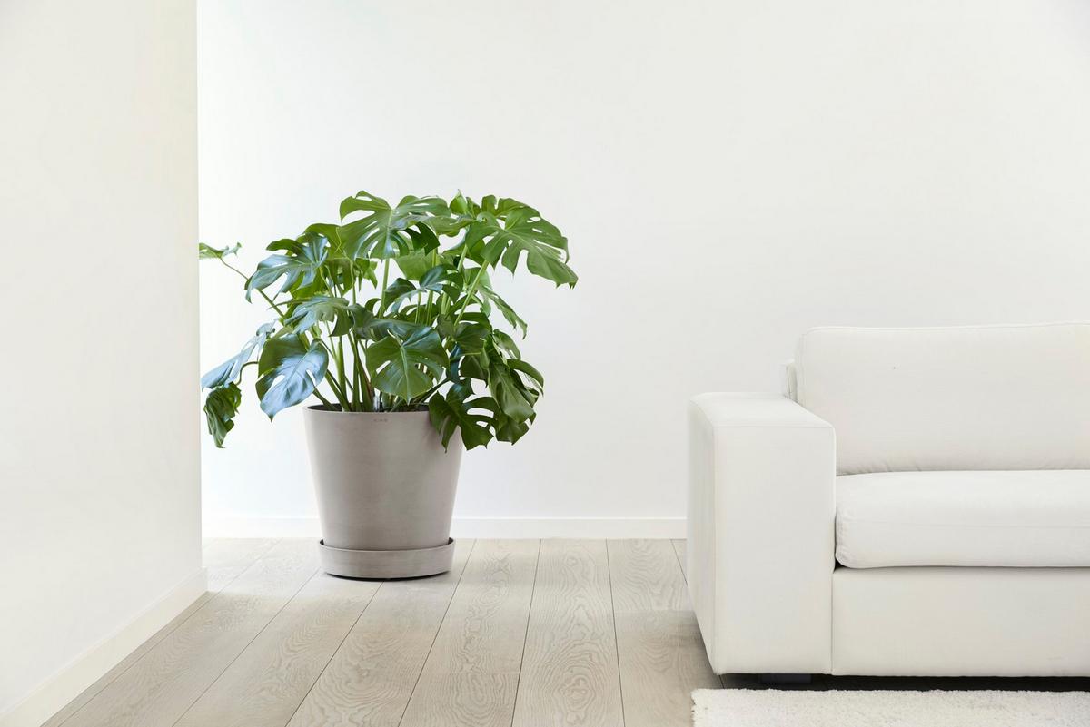 BLUMENTOPFUNTERSETZER mit Rädern 41,6/41,6/9 cm Taupe - Taupe, Kunststoff (41.6/9cm) - Ecopots