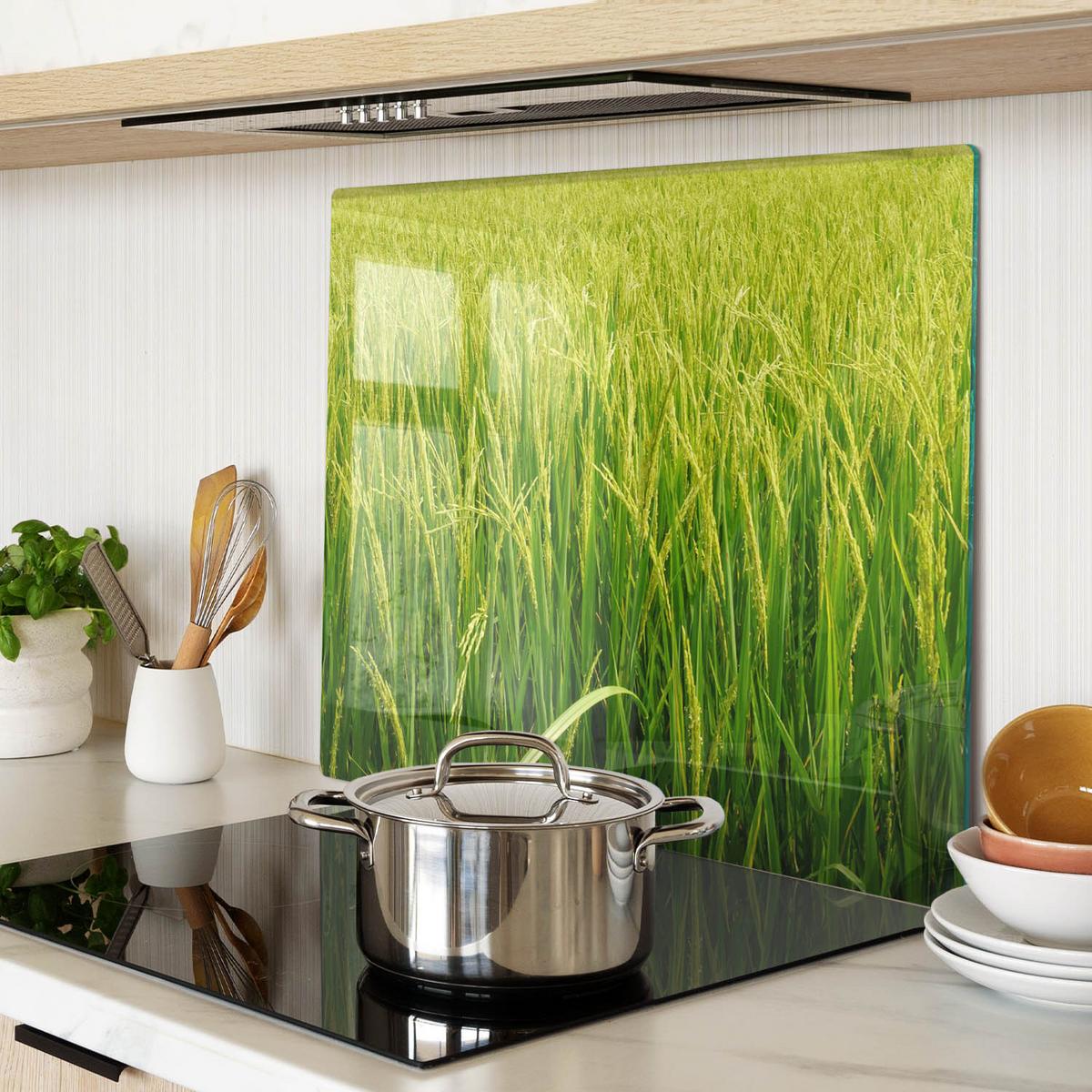 GLASPLATTE 60x52 cm Reisfeld - Grün, Glas (60/0.4/52cm) - TULUP