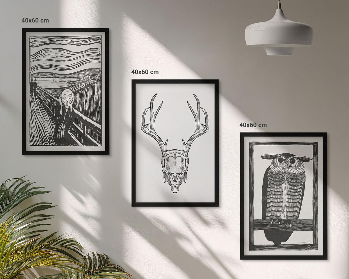 BILDER SET 3er Set - 40x60 cm Schwarzer Rahmen - Grafiken mit schreiendem Totenkopf-Eulen - Schwarz, Kunststoff (40/60cm) - TULUP