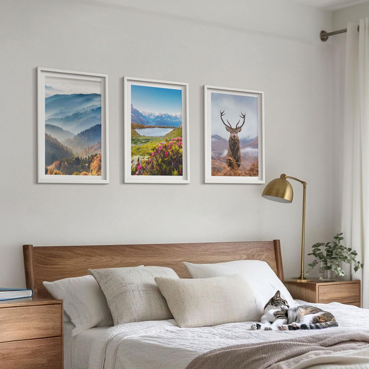 BILDER SET 3er Set - 40x60 cm Weißer Rahmen - Natur des Bergseehirsches - Weiß, Kunststoff (40/60cm) - TULUP