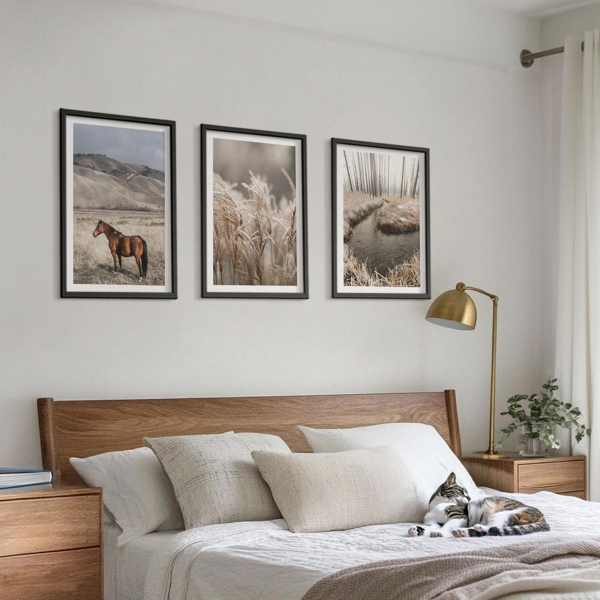 BILDER SET 3er Set - 40x60 cm Schwarzer Rahmen - Pferde, Landschaft, Gras, Bach - Schwarz, Kunststoff (40/60cm) - TULUP