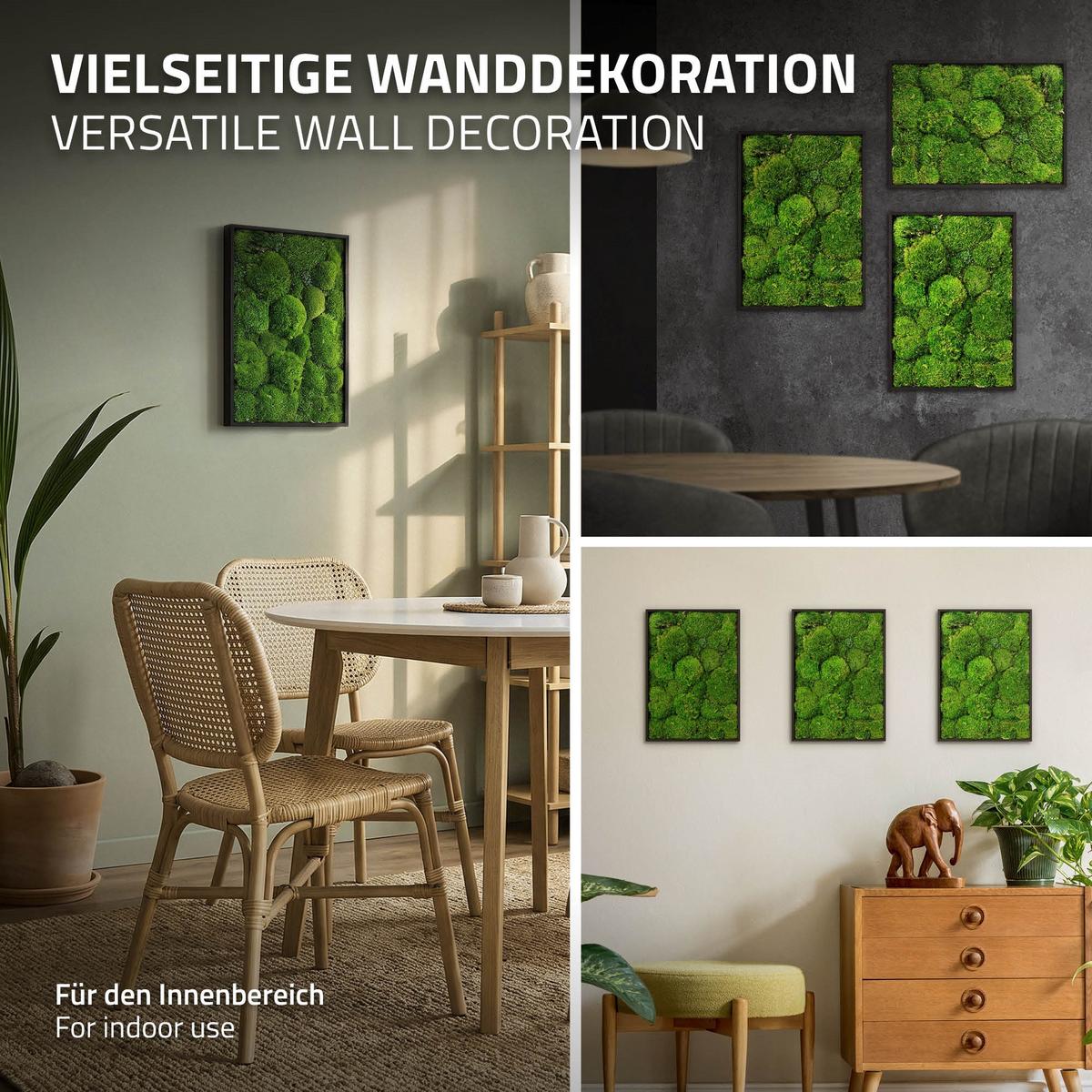 MOOSBILD Rechteck 38 x 27 cm Mooswand Indoor mit Echtem Kugelmoos und Holzrahmen Grün Pflegefrei - Grün, Naturmaterialien (27/38/3.5cm) - ECD-Germany