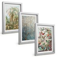 BILDER SET 3er Set - 20x30 cm Silberner Rahmen - Tropische Pflanzen, Vögel, Natur - Silberfarben, Kunststoff (20/30cm) - TULUP