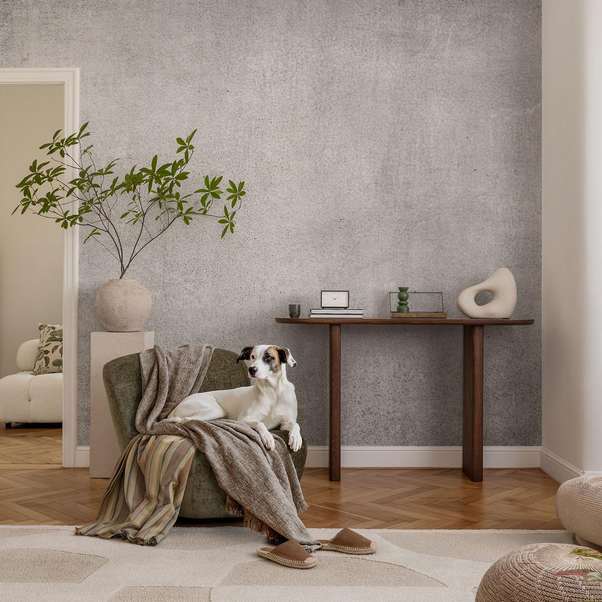 FOTOTAPETE 312x219 cm - Betonmuster - Grau, Textil (312/219cm) - Wallfluent