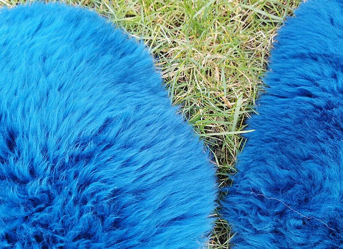LAMMFELL Öko bunt gefärbt weich Fell Teppich Himmelblau ca. 110 cm - Blau, Fell (60/110cm) - Provellus