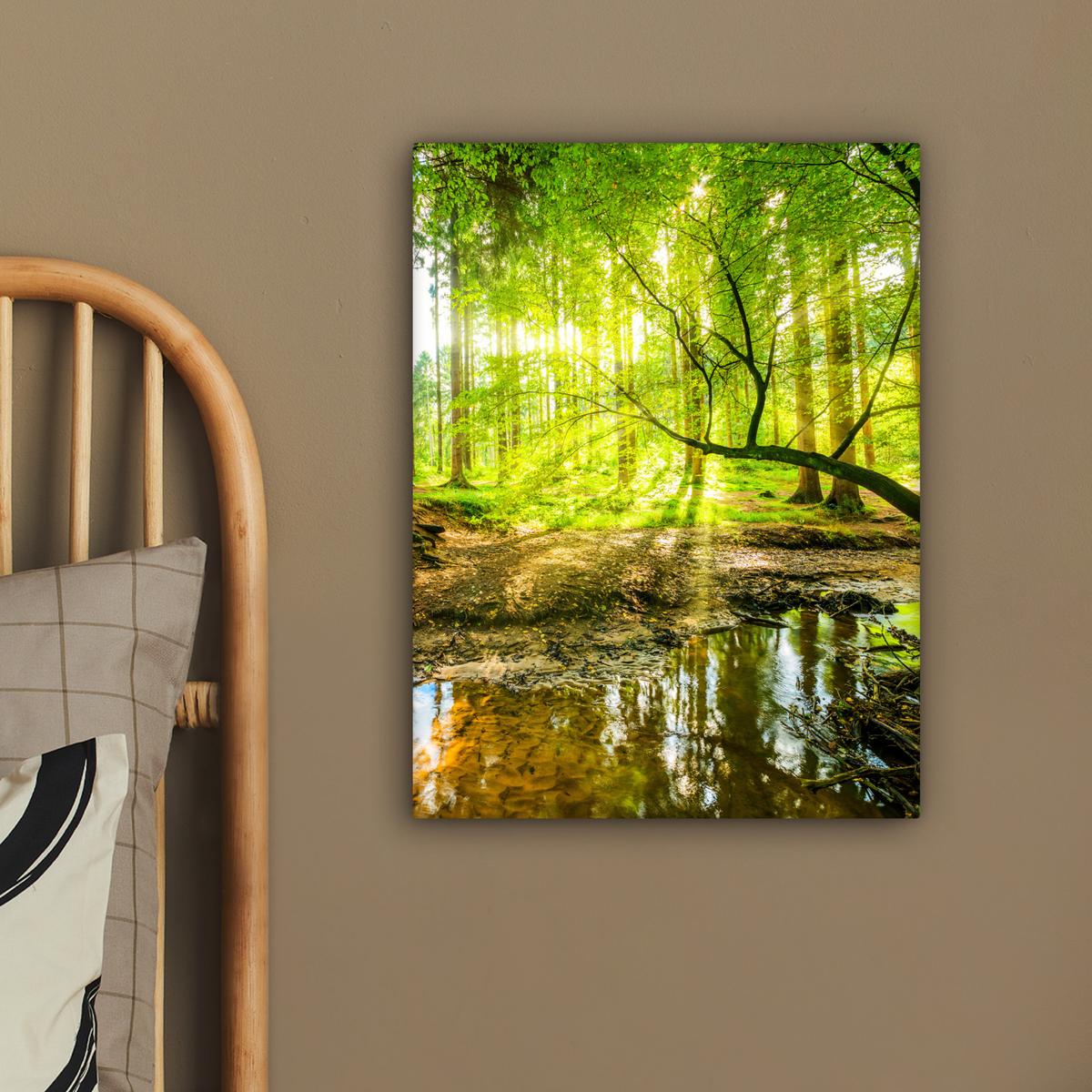 LEINWANDBILD Wald - Landschaft - Wasser - Bäume - Sonne - Grün - Natur Room Decor 30x40 cm - Grün, Textil (30/40cm) - MuchoWow