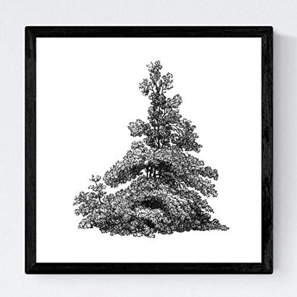POSTER Set mit 4 Bädern Bäume und Sträucher weißer Hintergrund 20x20cm Schwarzer Rahmen - Schwarz, Papier (20/3cm) - Nacnic