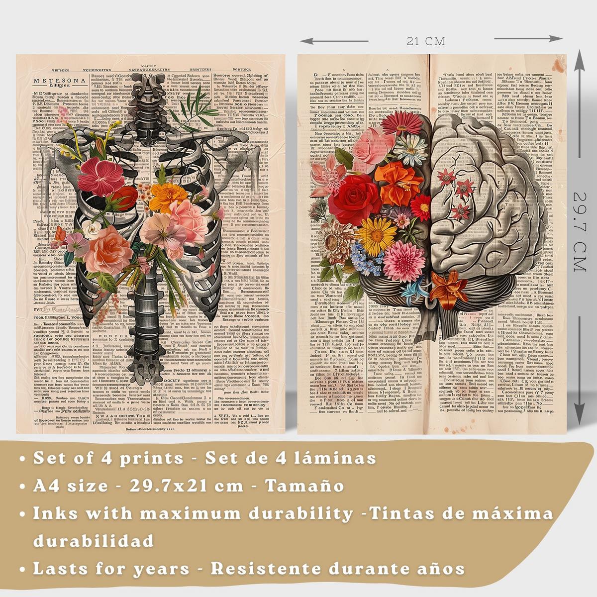 POSTER Set aus 4 Vintage Anatomie Drucke und Wandbilder mit Herz Schädel Skelett und Gehirn Collage Stil Wanddekoration Größe Weißer Rahmen A4 - Weiß, Papier (21/29.7/3cm) - Nacnic