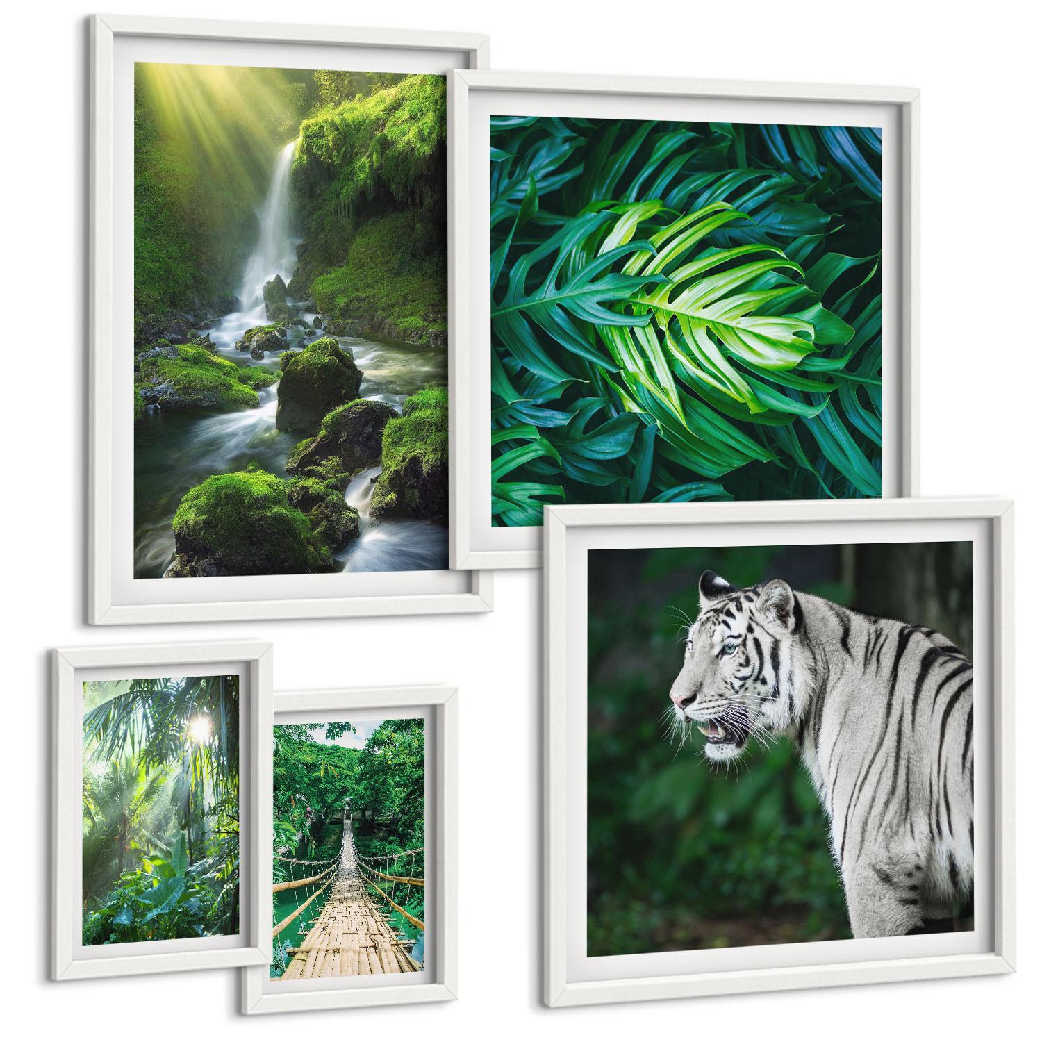BILDER SET 5er Set - 50x50 cm & 20x30 cm & 40x60 cm Weißer Rahmen - Dschungel-Weißtiger-Wasserfall - Weiß, Kunststoff (40/60cm) - TULUP
