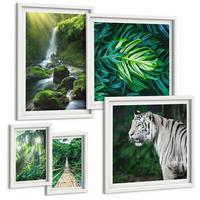 BILDER SET 5er Set - 50x50 cm & 20x30 cm & 40x60 cm Weißer Rahmen - Dschungel-Weißtiger-Wasserfall - Weiß, Kunststoff (40/60cm) - TULUP