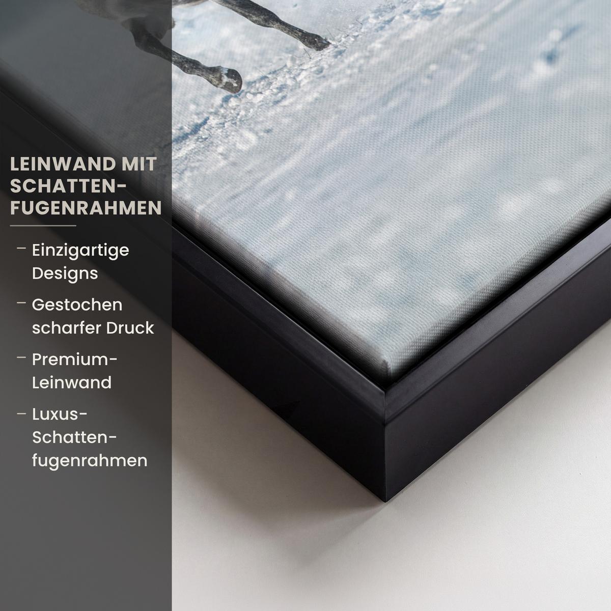 LEINWAND Bilder mit Rahmen - Pferde - Winter - Tiere - Natur - Schnee - 20x30 - Anthrazit, Textil (20/30cm) - MuchoWow