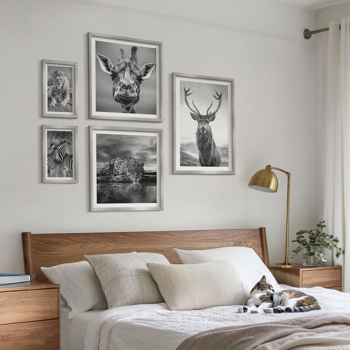 BILDER SET 5er Set - 50x50 cm & 20x30 cm & 40x60 cm Silberner Rahmen - Wildtiere Löwe Jaguar Giraffe Zebras - Silberfarben, Kunststoff (40/60cm) - TULUP