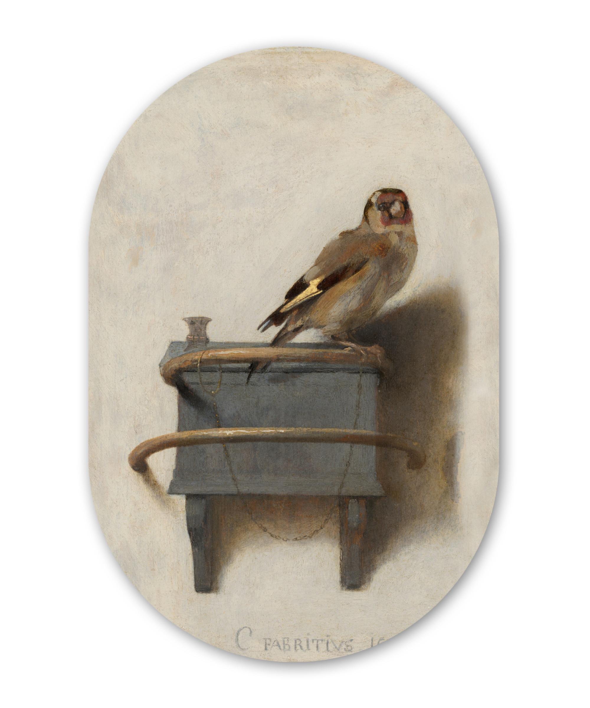 WANDBILD Stieglitz - Alter Meister - Carel Fabritius Deko Wohnzimmer 40x60 cm - Grau, Kunststoff (40/60cm) - MuchoWow