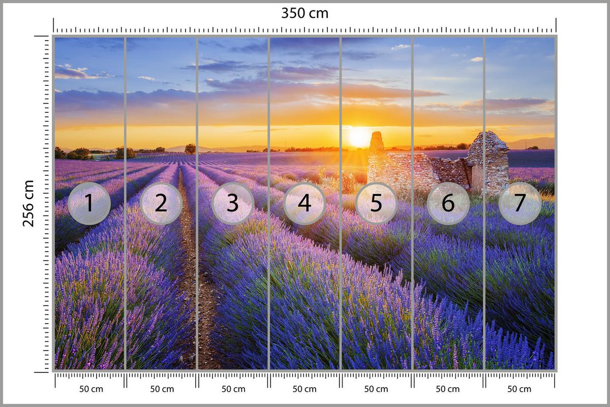 FOTOTAPETE für Wohnzimmer Lavendelfeld Sonnenuntergang Lila 350x256 - Violett/Rosa, Papier (350/256cm) - Muralo