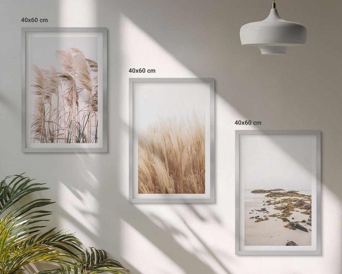 BILDER SET 3er Set - 40x60 cm Silberner Rahmen - Pampasgrasfelder und ein Boho-Strand - Silberfarben, Kunststoff (40/60cm) - TULUP