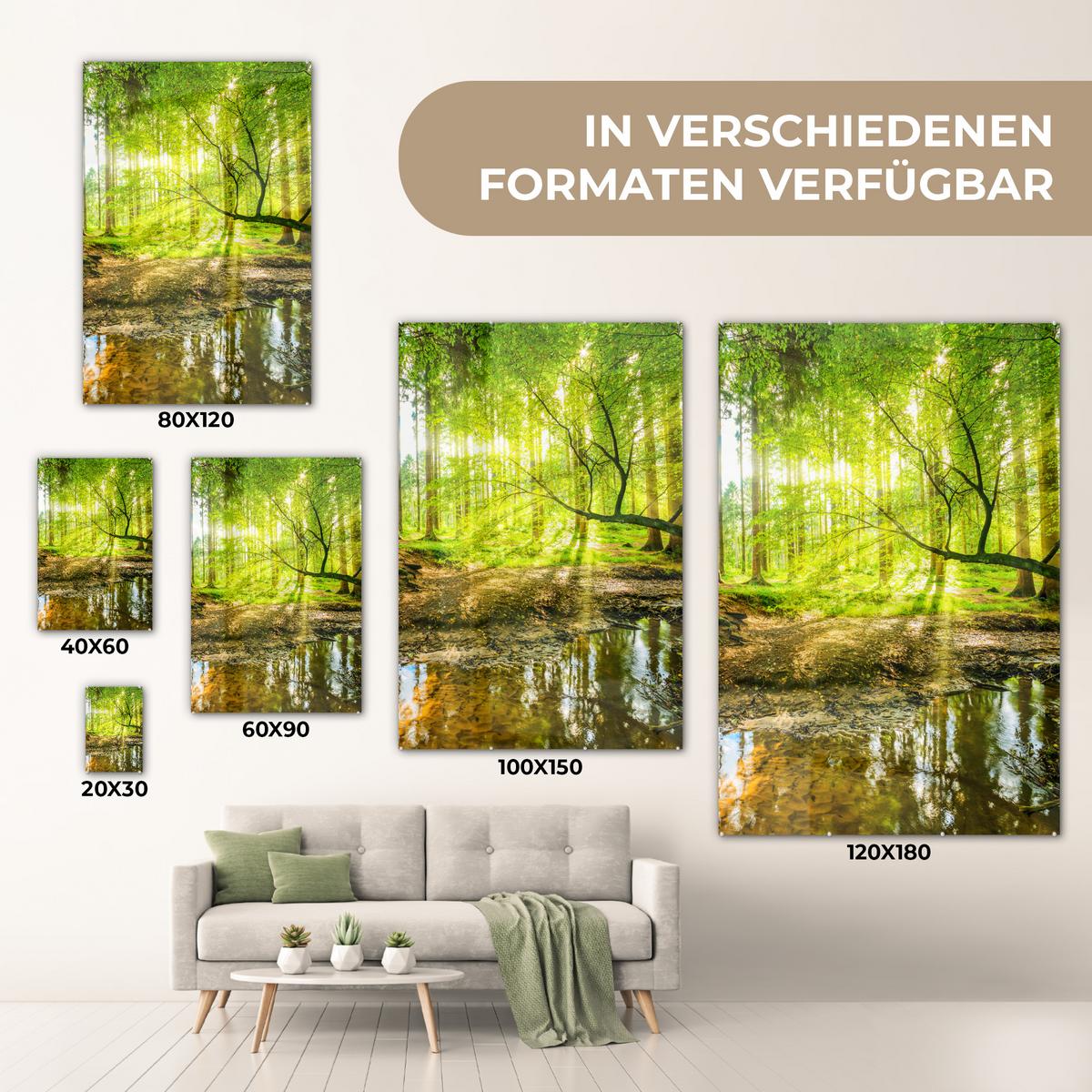 ACRYLGLASBILD Wald - Landschaft - Wasser - Bäume - Sonne - Grün - Natur 80x120 cm - Grün, Glas (80/120cm) - MuchoWow