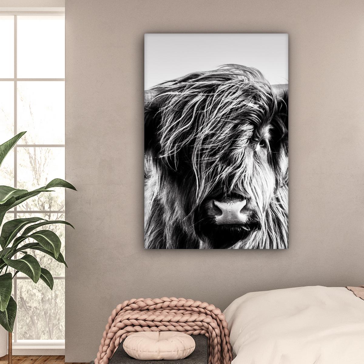 LEINWANDBILD Kuh - Schottischer Hochländer - Schwarz - Weiß - Tier - Natur - Wildtiere Deko XXL 80x120 cm - Schwarz, Textil (80/120cm) - MuchoWow