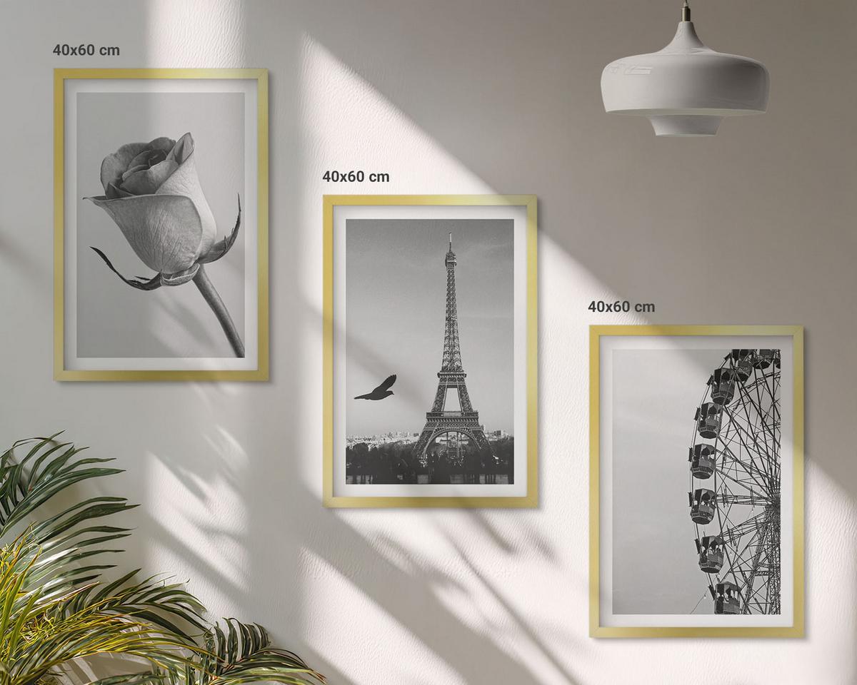 BILDER SET 3er Set - 40x60 cm Goldrahmen - Rose Eiffelturm Riesenrad - Goldfarben, Kunststoff (40/60cm) - TULUP