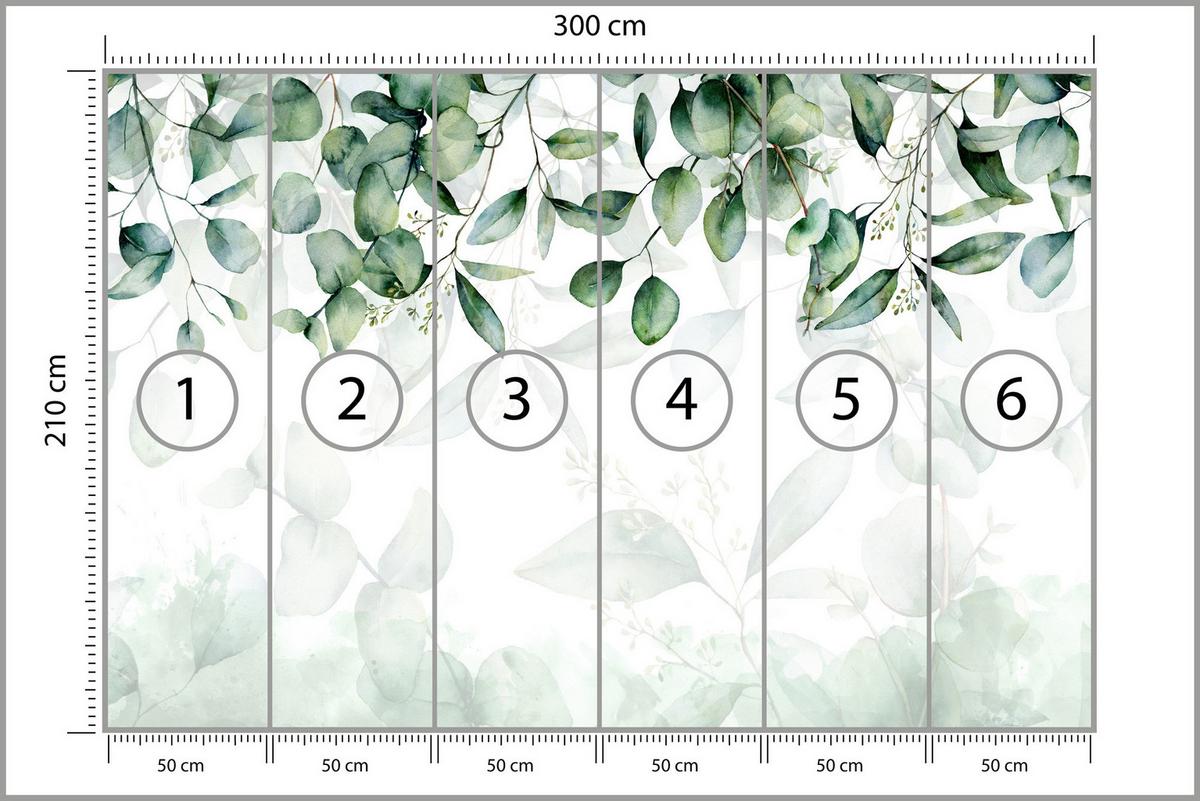 FOTOTAPETE Eukalyptus Blätter Pflanzen Natur 300x210 - Weiß/Grün, Papier (300/210cm) - Muralo