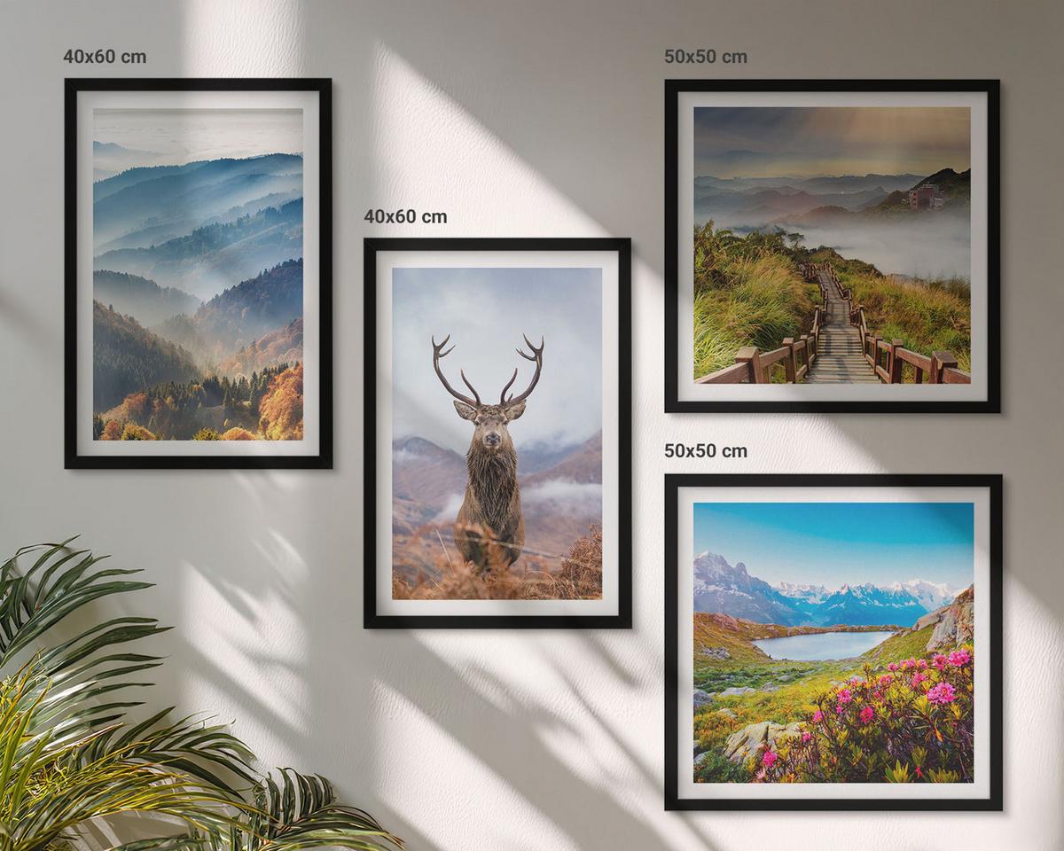 BILDER SET 4er Set - 50x50 cm & 40x60 cm Schwarzer Rahmen - Berglandschaft, See, Hirsche - Schwarz, Kunststoff (50/50cm) - TULUP