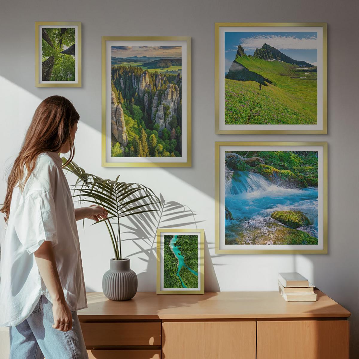 BILDER SET 5er Set - 50x50 cm & 20x30 cm & 40x60 cm Goldrahmen - Wasserfälle grüner Wald Wasser - Goldfarben, Kunststoff (40/60cm) - TULUP