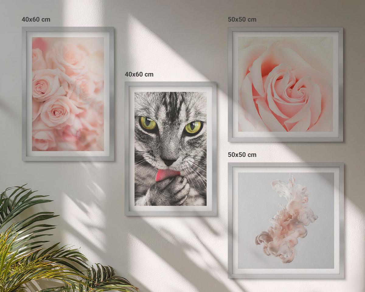 BILDER SET 4er Set - 50x50 cm & 40x60 cm Silberner Rahmen - Abstrakte Darstellung von grauen Katzenrosen - Silberfarben, Kunststoff (50/50cm) - TULUP