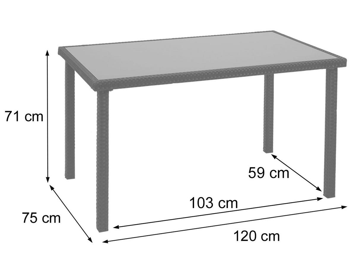 POLY-RATTAN TISCH rechteck Schwarz - Schwarz, Kunststoff (75/120/71cm) - MCW