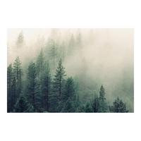 FOTOTAPETE Wald im Nebel Erwachen 384/255 cm - Grün, Papier (384/255cm) - Bilderwelten
