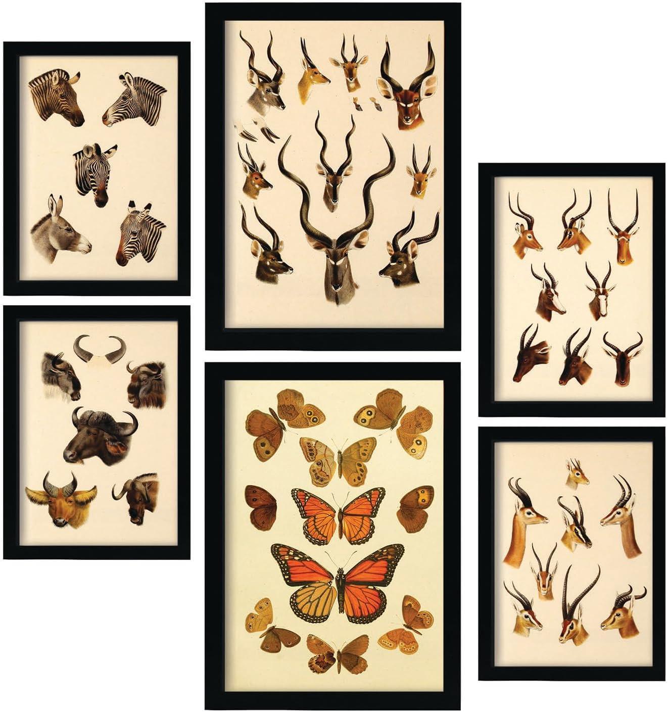 POSTER Set Mit 6 Tiere In Vintage A3 & A4 Weißer Rahmen - Weiß, Papier (29/3cm) - Nacnic