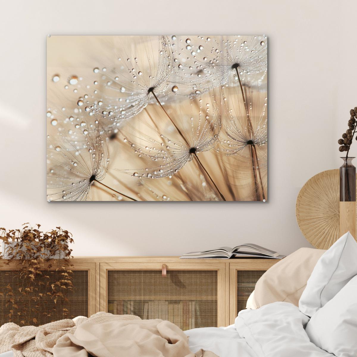 ACRYLGLASBILD Löwenzahn - Abstrakt - Natur - Beige 80x60 cm - Braun, Glas (80/60cm) - MuchoWow