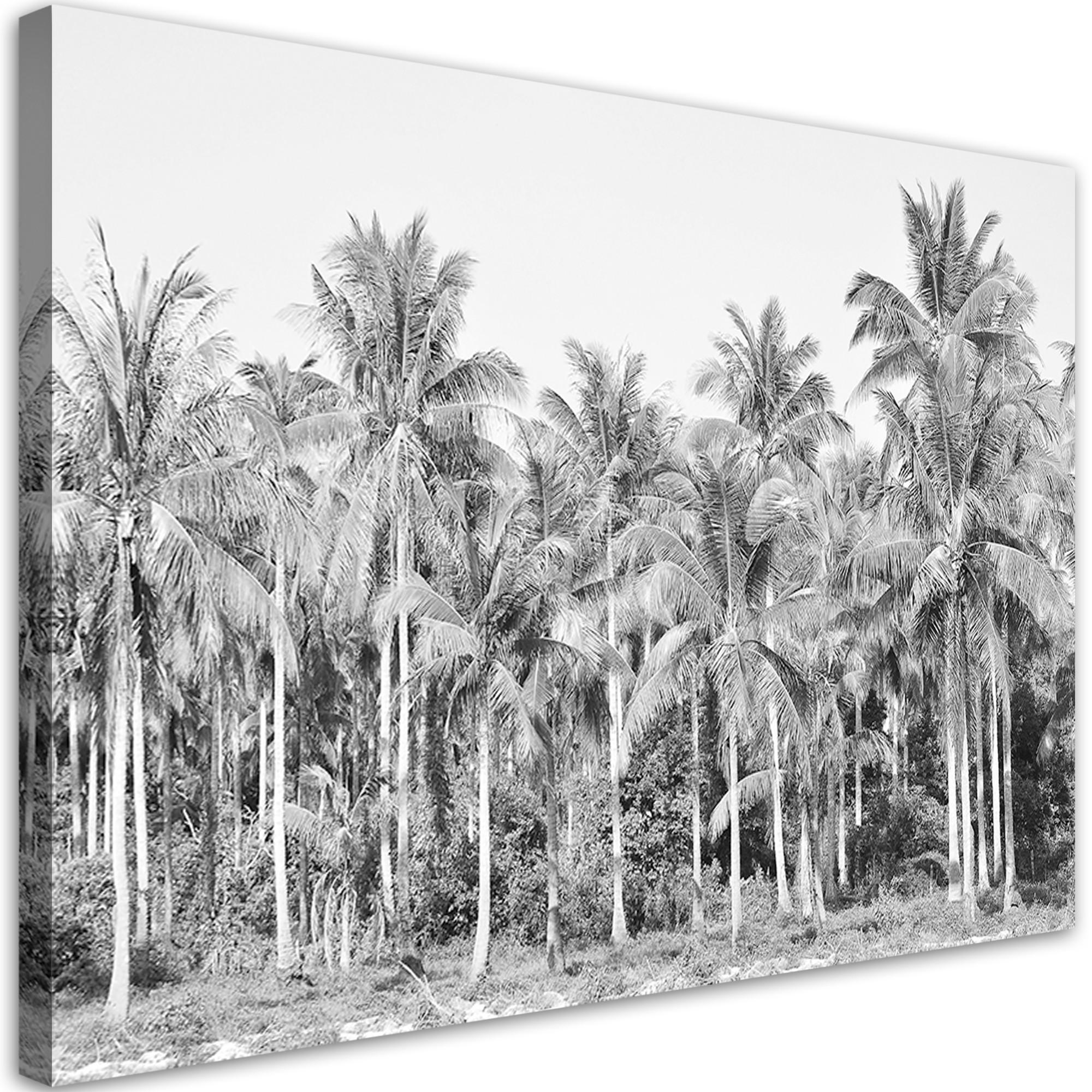WANDBILD palmen im dschungel grau - Schwarz, Textil (60/40cm) - Feeby