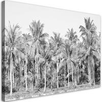 WANDBILD palmen im dschungel grau - Schwarz, Textil (60/40cm) - Feeby