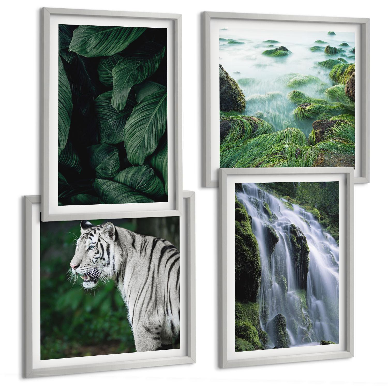 BILDER SET 4er Set - 50x50 cm & 40x60 cm Silberner Rahmen - Blätter des Weißen Tigerwasserfalls - Silberfarben, Kunststoff (50/50cm) - TULUP